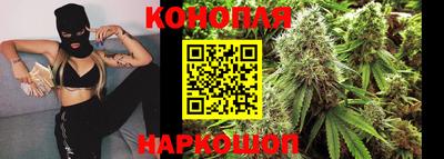 шишки Лесосибирск