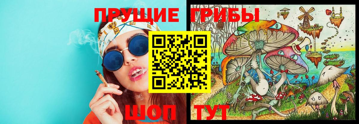 Галлюциногенные грибы GOLDEN TEACHER Киров