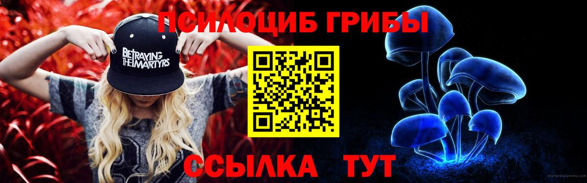 Киров  Галлюциногенные грибы мухоморы  хочу наркоту  Псилоцибиновые грибы Psilocybine cubensis  Вход с VPN 